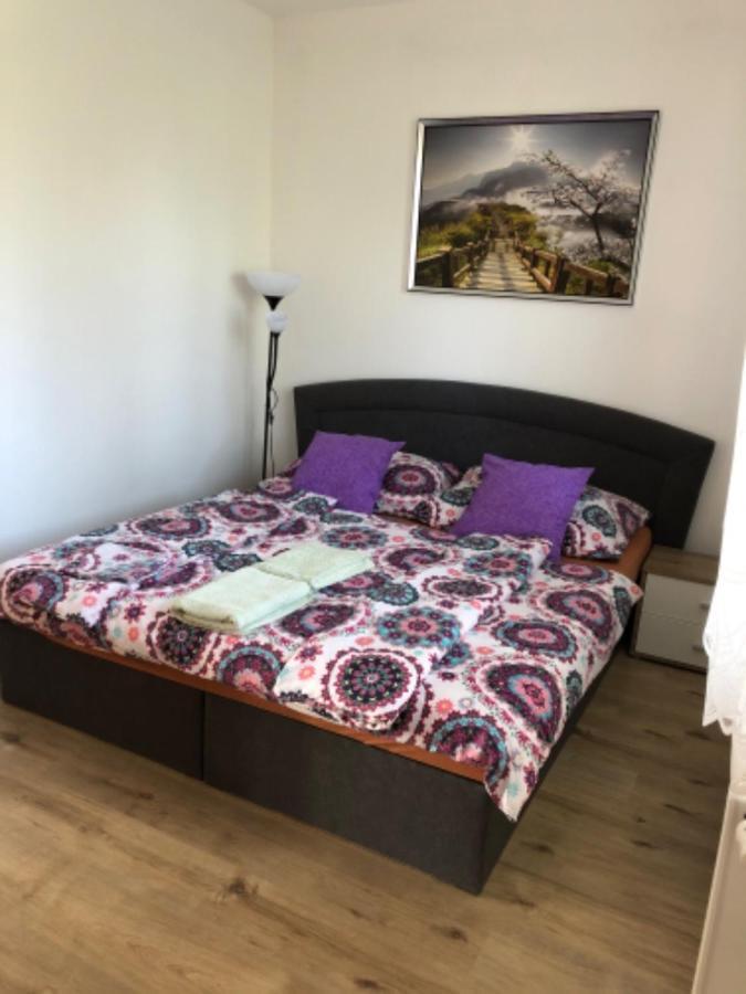 Apartmany Eva Frymburk Eksteriør billede